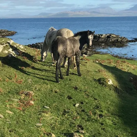 Wild Atlantic Holiday *